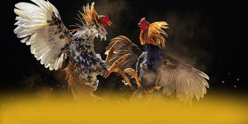 Khả năng truy cập đa nền tảng cùng 8XBET