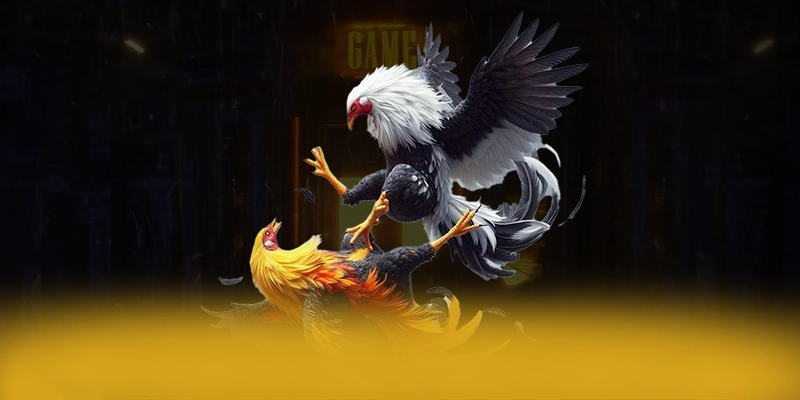 GOOD88 - Cổng game bài mượt mà tại Việt Nam